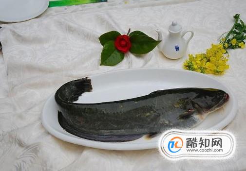 ţ�ⲻ�ܺ���Щʳ�������һ��ԣ�����